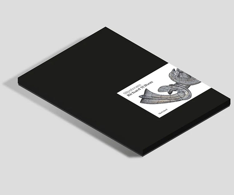 Richard Wilson Slipstream